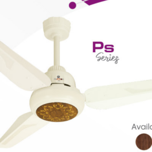 PS Model