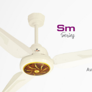 SM Model